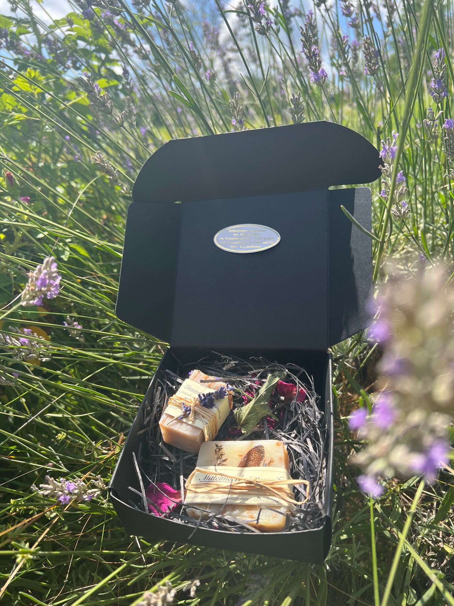kleines Sommerset