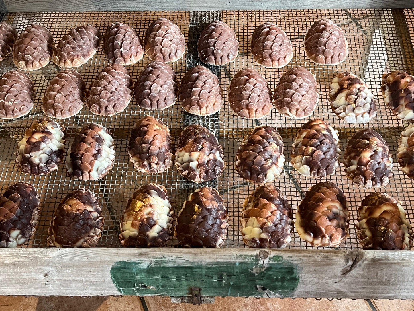 Naturseife in Zapfenform